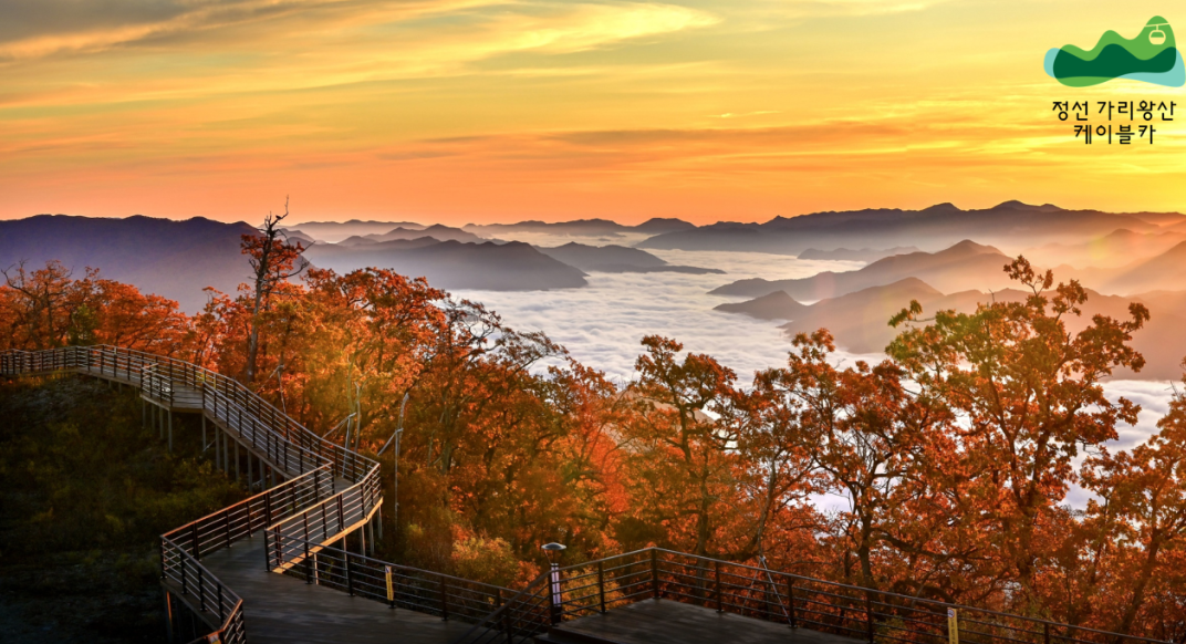 4대가 함께한 정선 케이블카 여행기(가족,추억,자연)