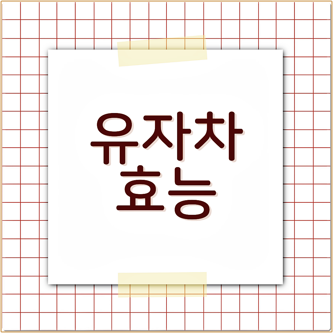 유자차 효능