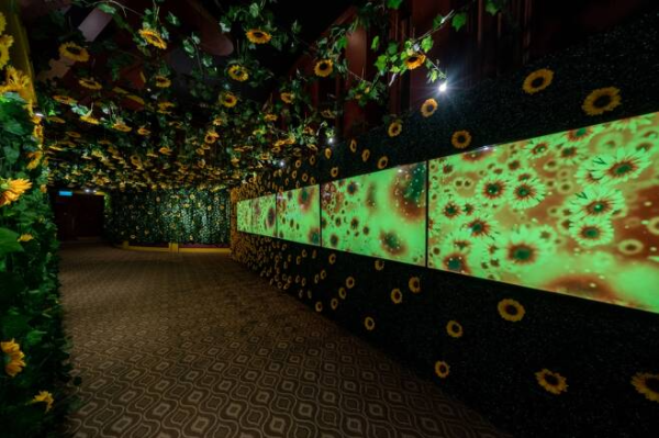 빈센트 반고흐 전시회 몰입형 체험 해바라기