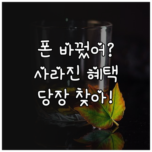 스마트폰 교체 후 사라진 복지 혜택 ..