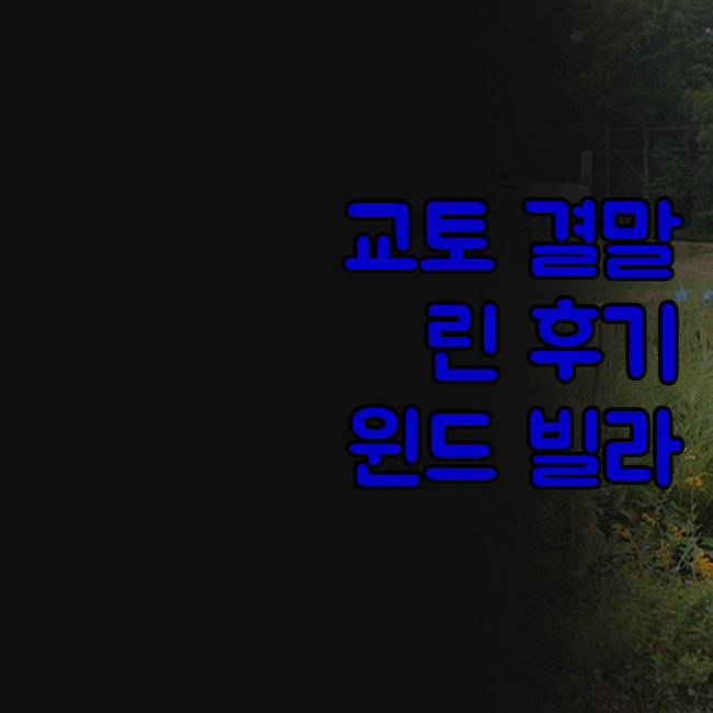 교토 여행 숙소 고민 끝 게스트하우스..