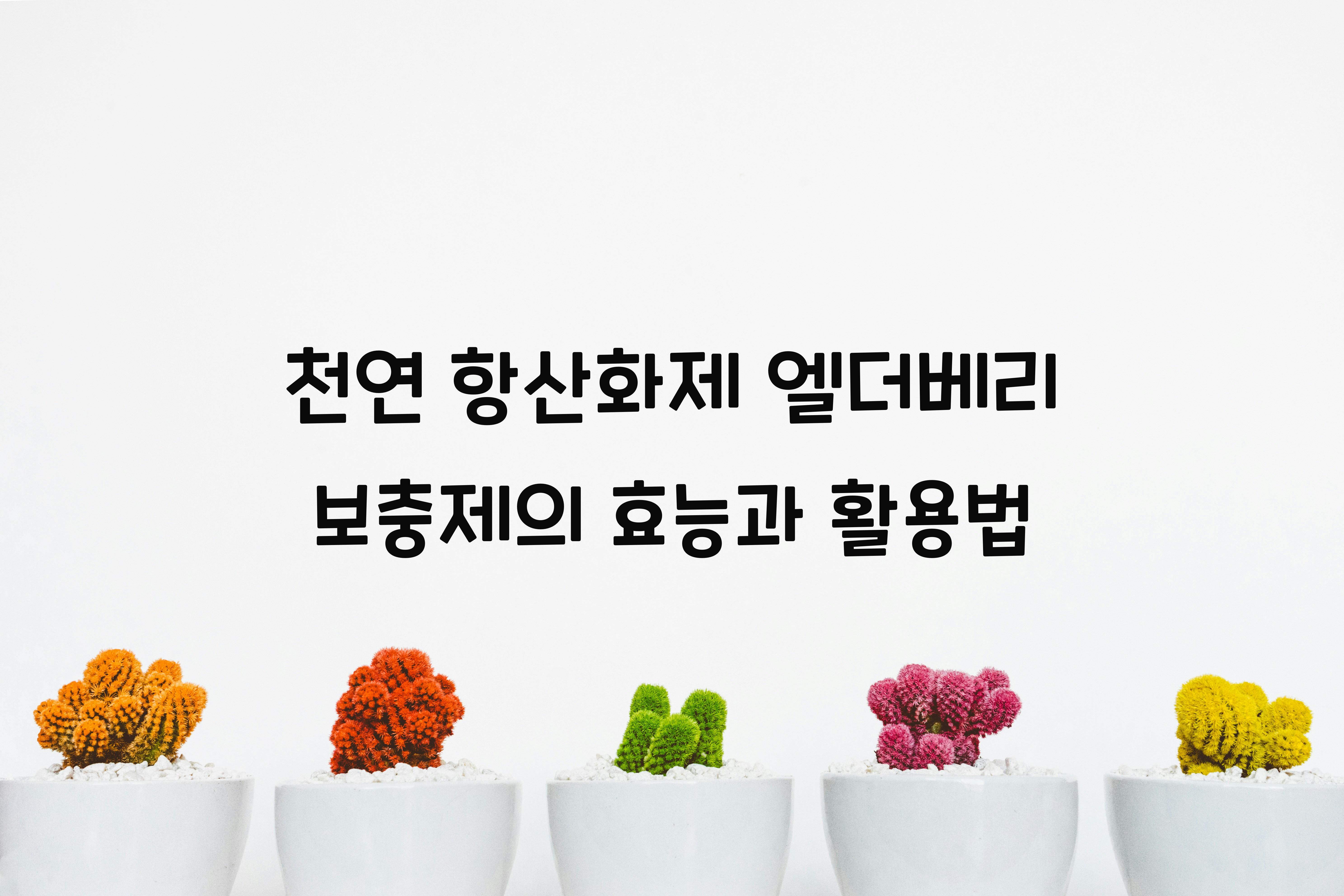 천연 항산화제 엘더베리 보충제