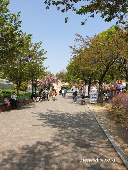 “봄 햇살이 가득한 공원에서 산책하는 사람들 모습 – 비타민 D 자연 합성 환경 예시”