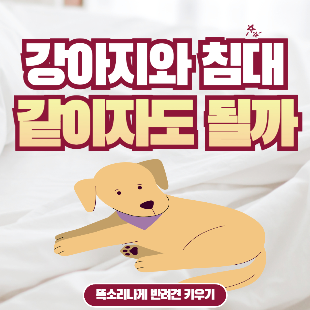 강아지와 침대에서 같이 자도 될까