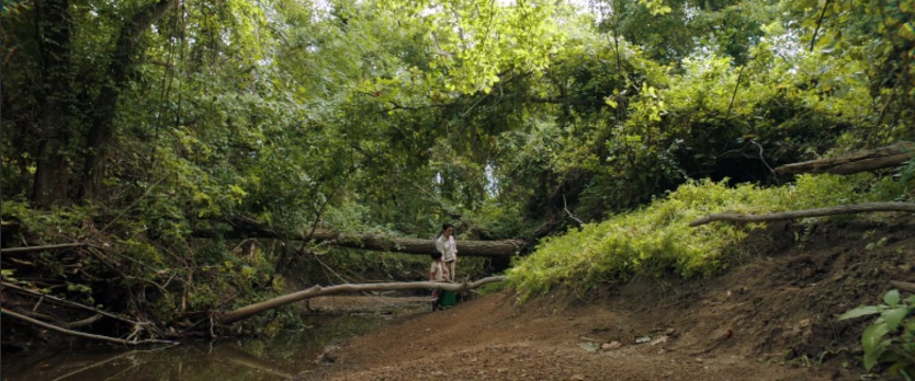 미나리 영화 포스터
