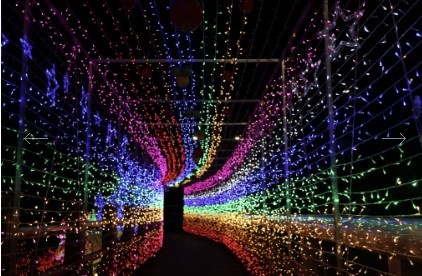 11월 행사 축제 지역별 행사 지역축제