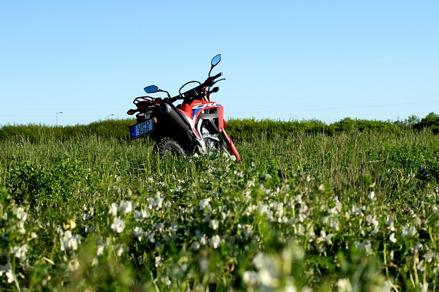 바이크(오토바이) 시즌 ON & OFF 와 관리법! 관련 사진