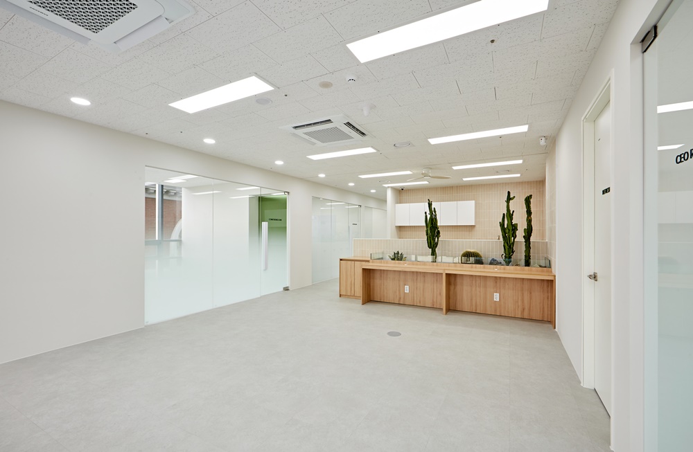 사무실플랜테리어