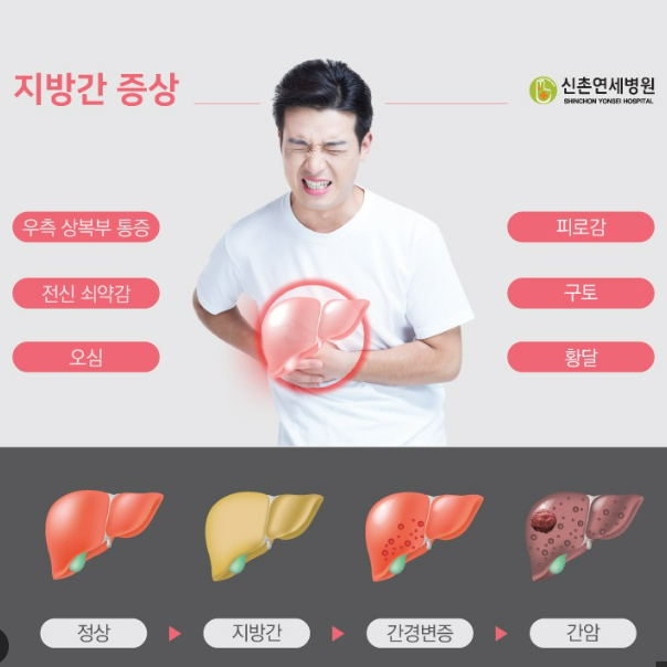 간(6)