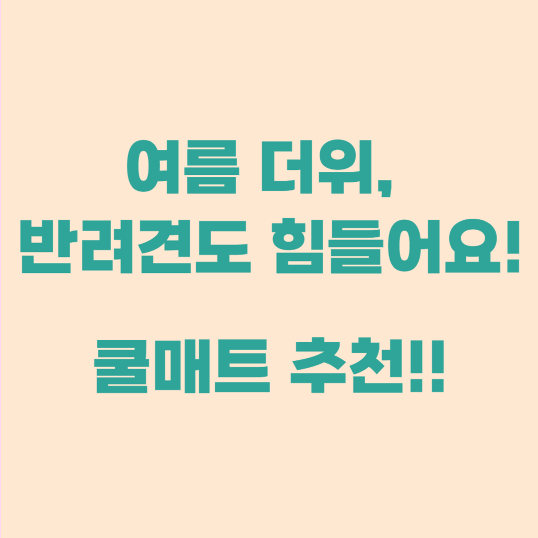 반려동물 쿨매트|더위 많은 아이를 위한 여름 필수템!