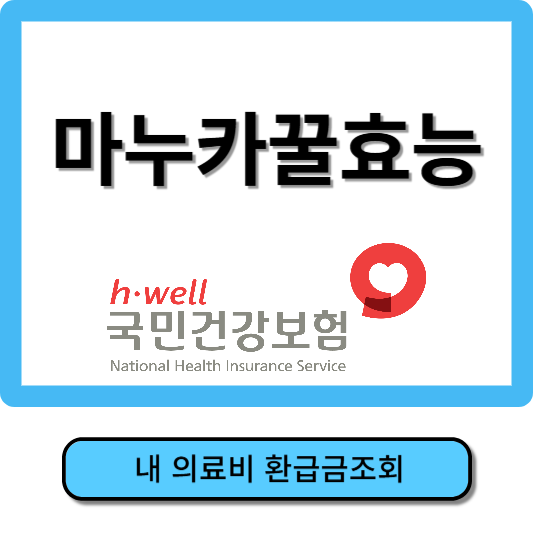 마누카꿀 효능
