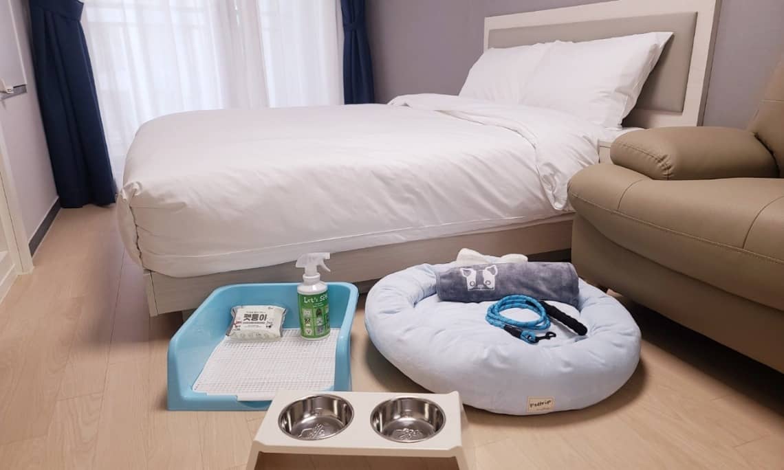 리센-오션파크-호텔-펫룸