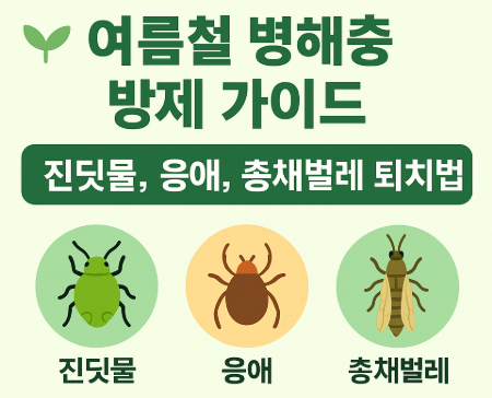 여름철 병해충 방제 가이드 – 진딧물, 응애, 총채벌레 퇴치법