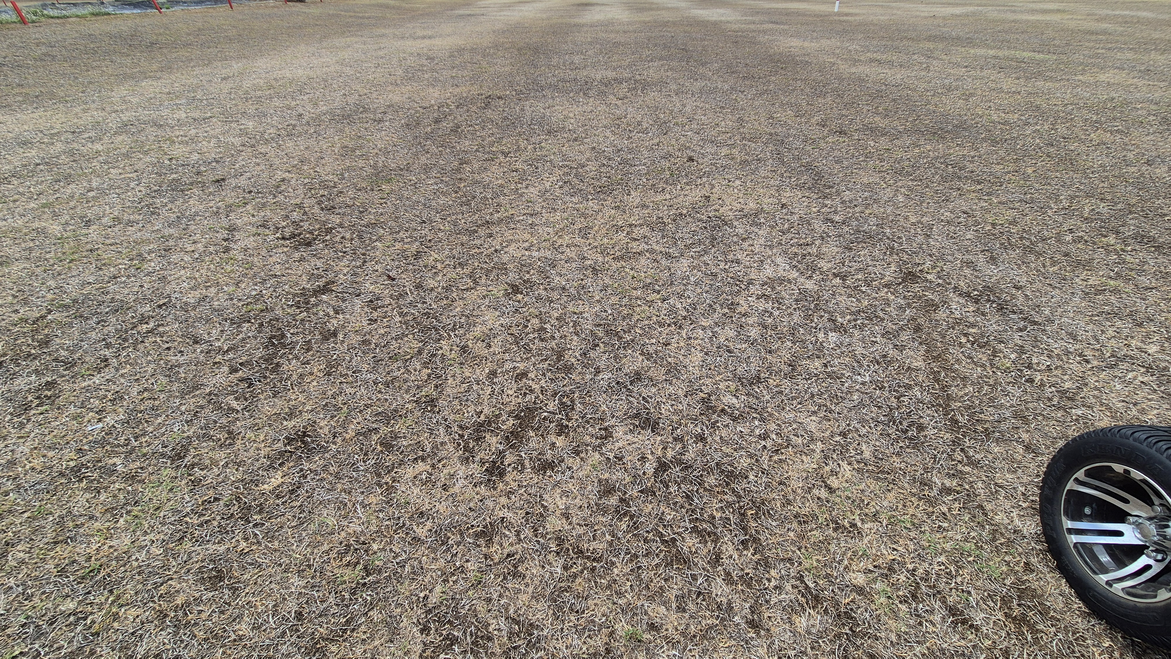 코랄오션cc 골프 라운드