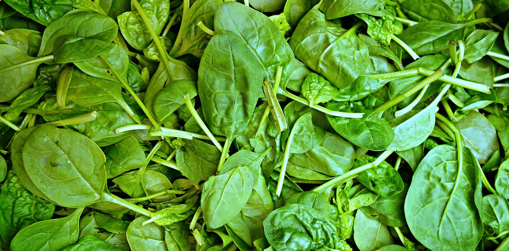 혈압에 좋은 음식 사진 - 4