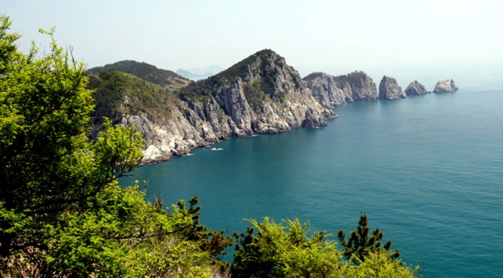 통영 연화도 수국 꽃길 산책 코스와 최적 관람 시기_6