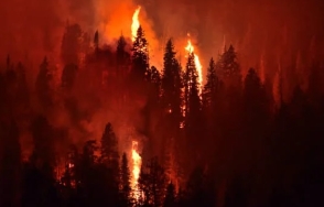 LA 산불 원인 산불지역 지도 위치 진화현황 산불 피해액