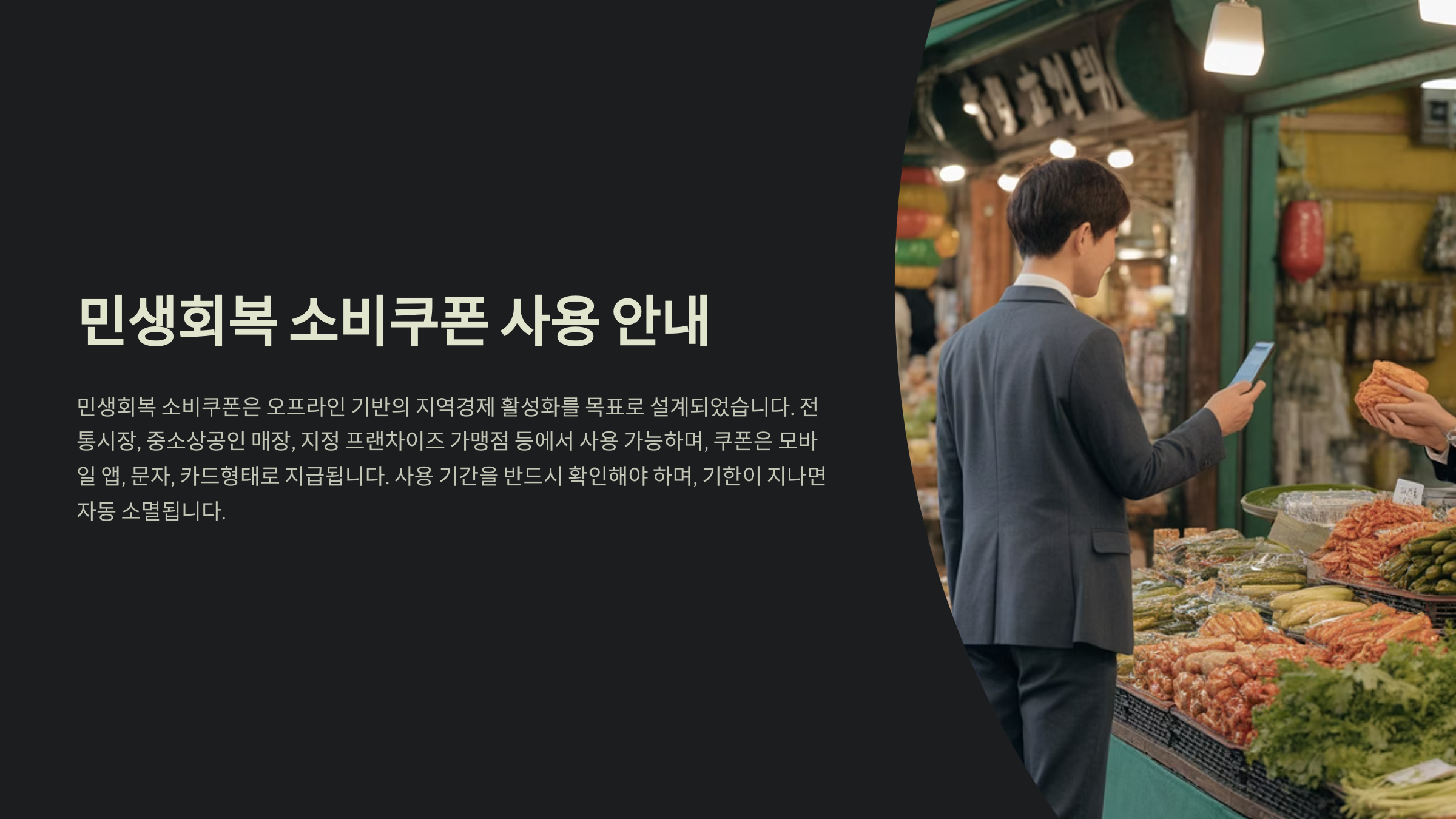 소비쿠폰 사용처 개요