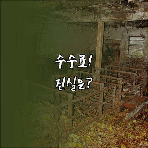 비엣젯항공 운임 종류별 취소 수수료 ..