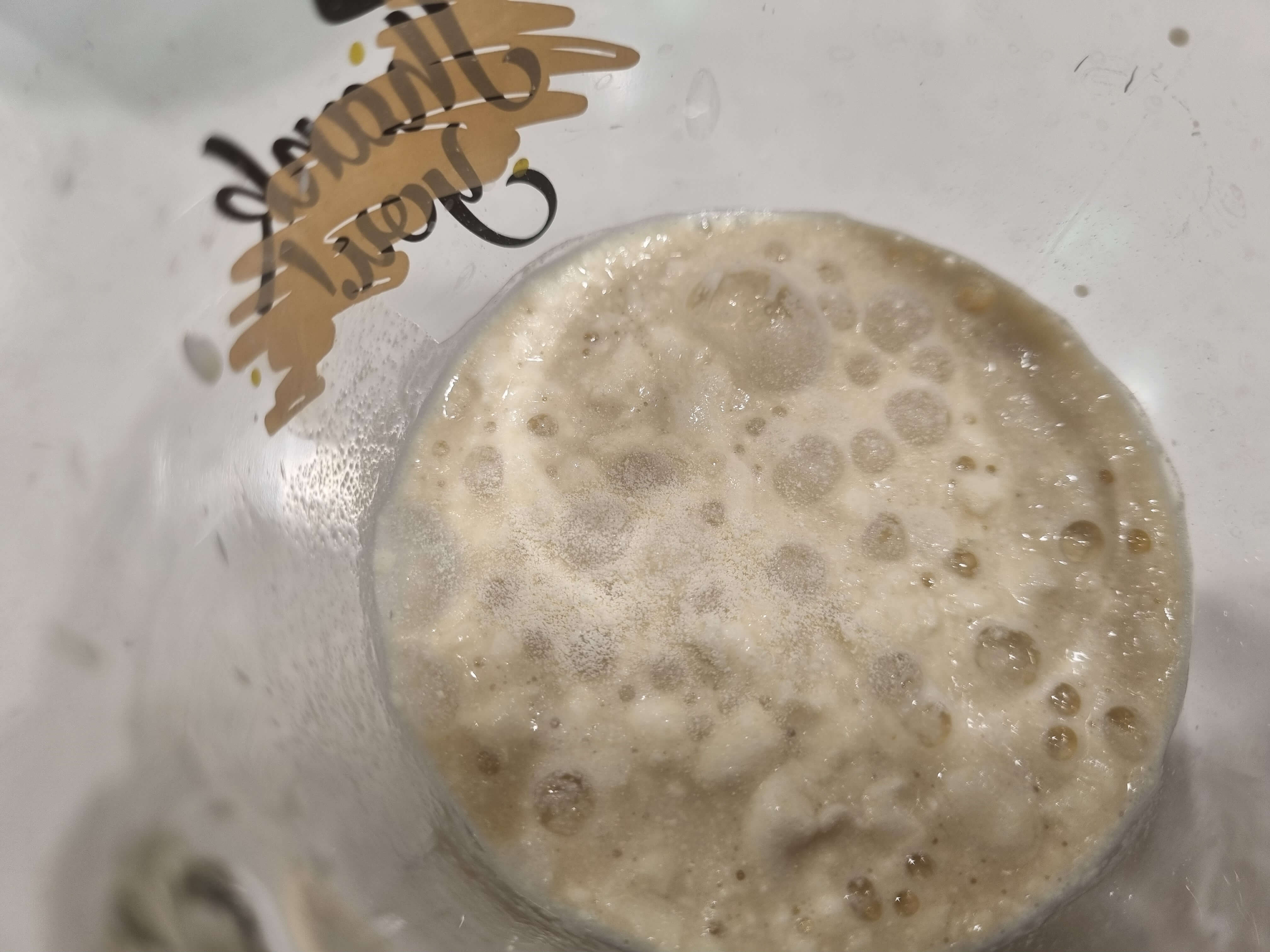 하이뮨 프로틴 밸런스 먹는방법