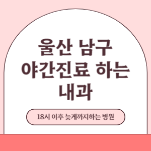 울산 남구 야간진료 늦게까지 진료 하는 내과 병원 (18시 이후 지금 진료 중인 병원)