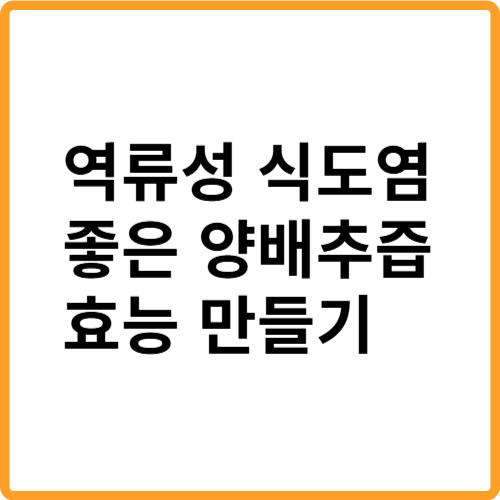 역류성식도염 좋은 양배추즙 효능 만들기 관련 사진
