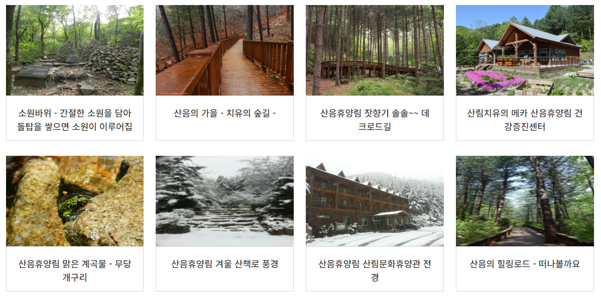 산음자연휴양림 예약방법 총정리