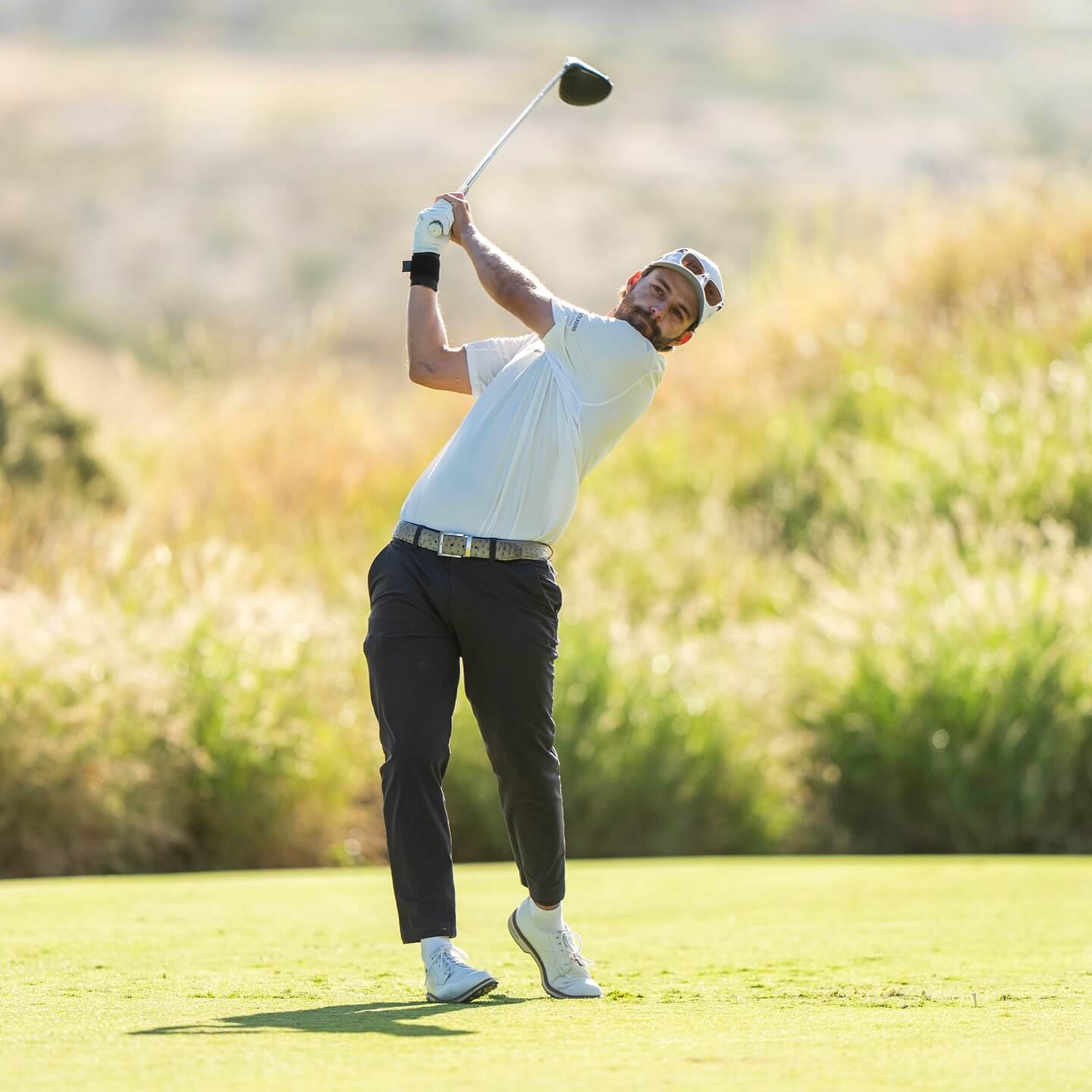 월드 와이드 테크놀로지 챔피언십