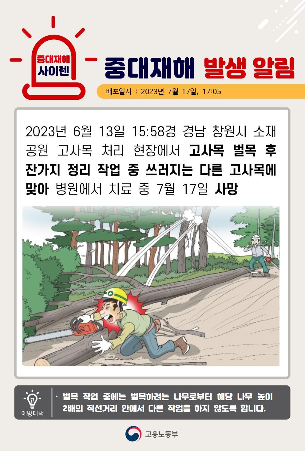 고사목 벌목 중 넘어지는 고사목에 맞음