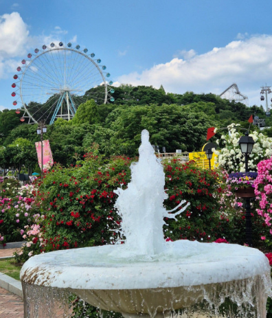 에버랜드 큐패스 패키지 구입