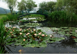 세미원 입장료 및 근처 맛집