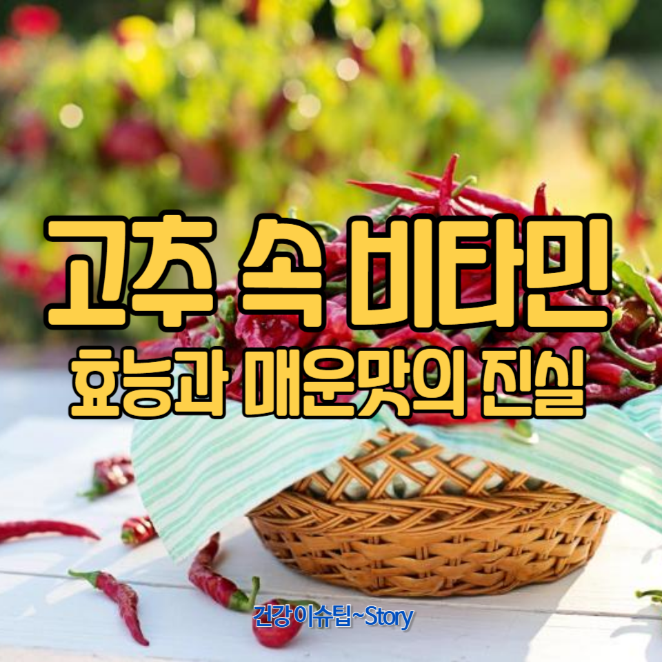 고추는 비타민 C와 다른 영양소가 풍부하게 포함되어 있는 건강 식품
