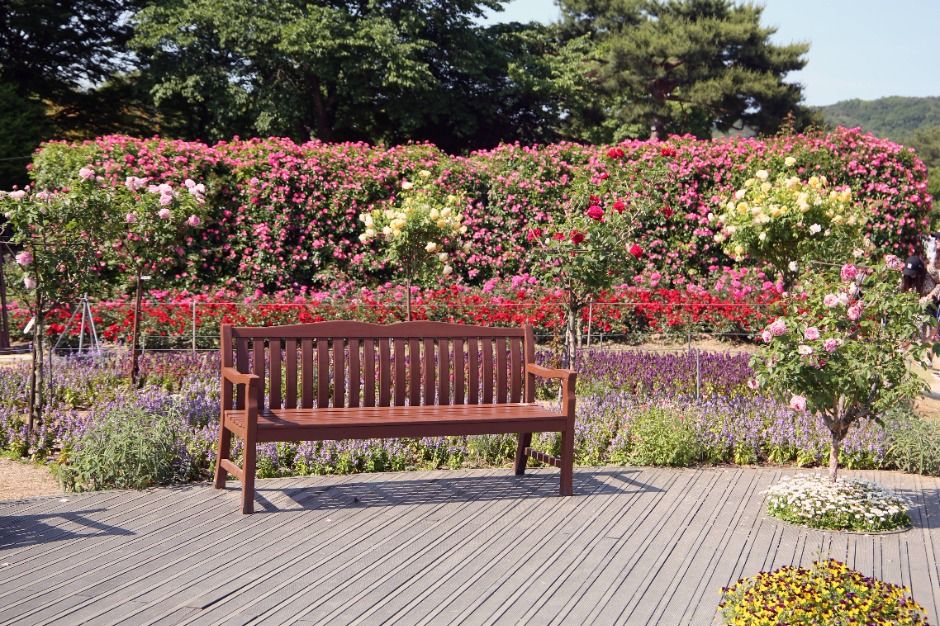 과천 가볼만한곳 베스트10