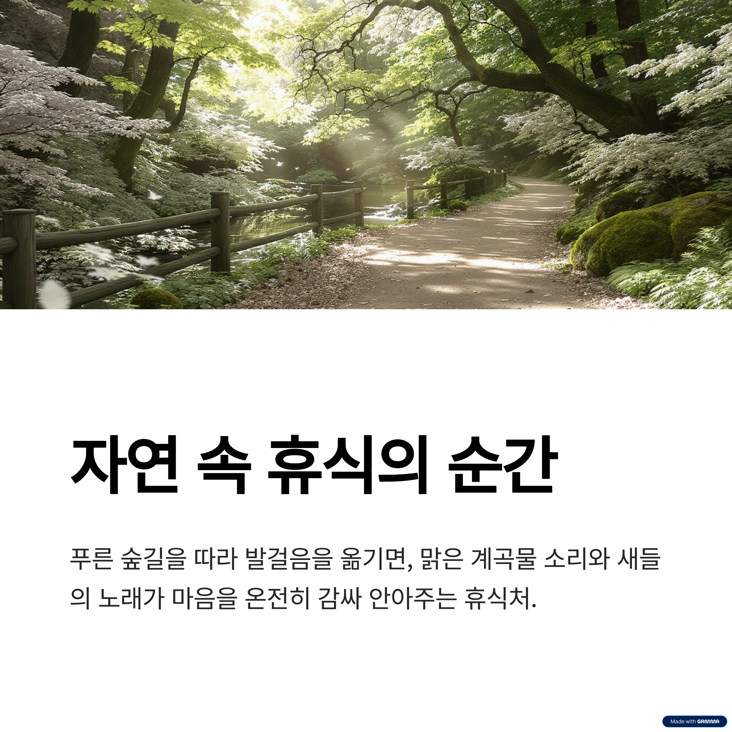 힐링 여행