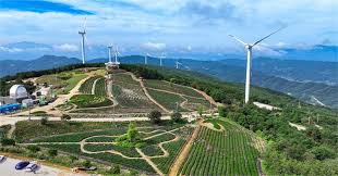 거창 산양삼축제와 함께하는 거창한 전국 가요제