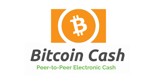 비트코인캐시의 역사 특징 전망