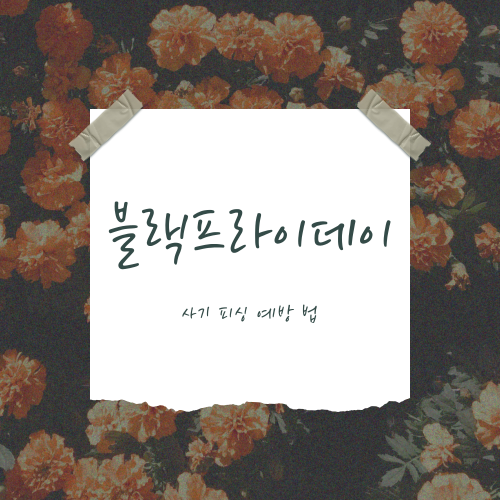 블랙프라이데이 사기 조심해야 한다는 말, 들으셨죠?