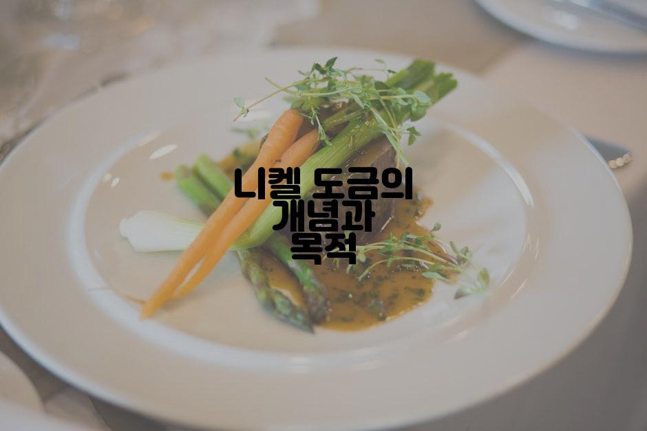 니켈 도금의 개념과 목적