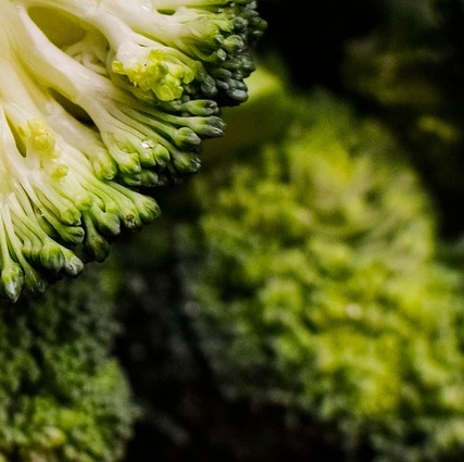 콜레스테롤 낮추는 음식