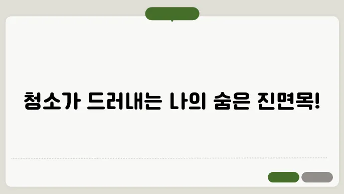 청소를 하다보면 나타나는 나만의 성격