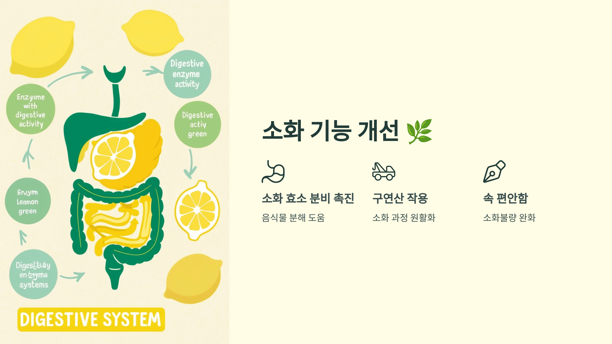 레몬즙 사진입니다.