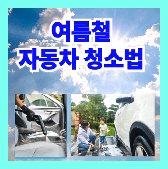여름철 자동차 차량 청소 가이드