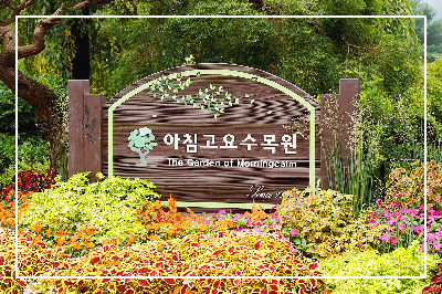 아침고요수목원
