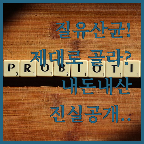 여성 질 유산균 고르는 기준과 실제 ..