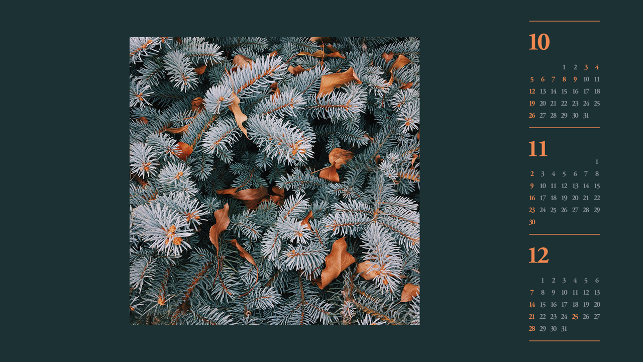 03 하얀 소나무 B - 2025년11월 노트북배경화면