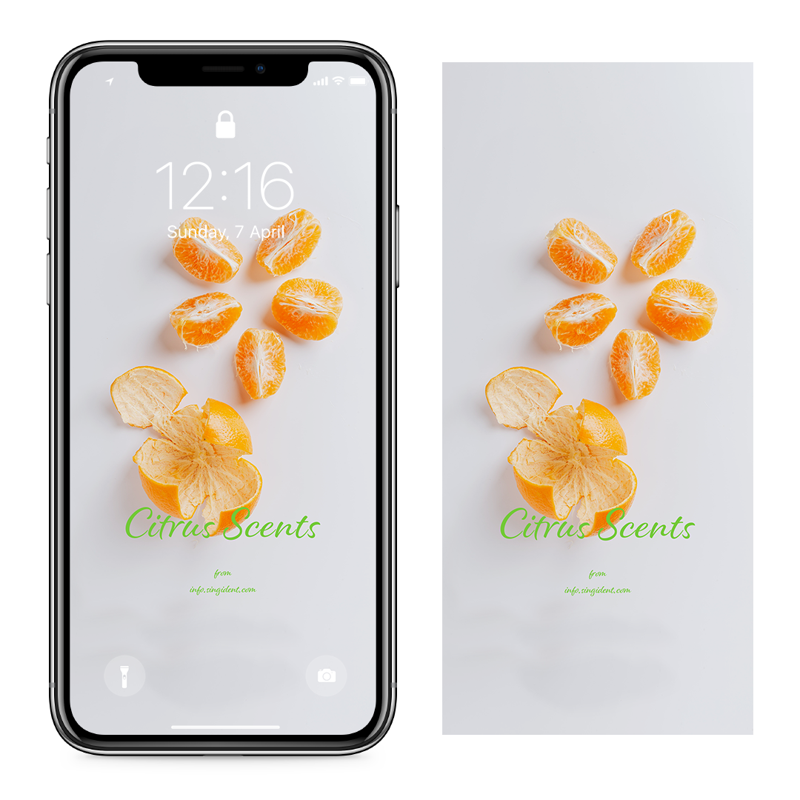 03 껍질 깐 귤 C - Citrus Scents 아이폰주황색배경화면