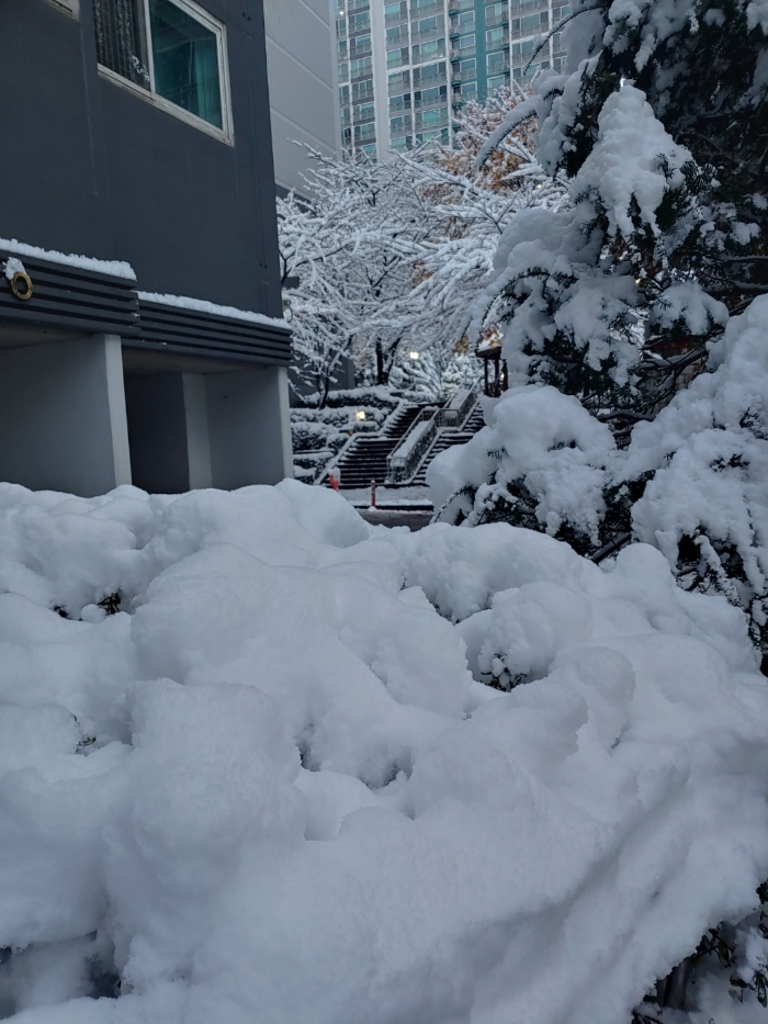 경기도-시흥시-은행동-첫눈