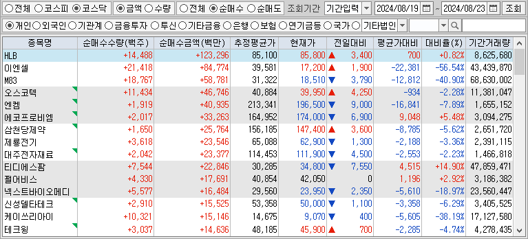 주간 코스닥 개인 순매수