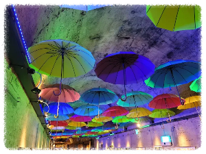 김해낙동강레일파크