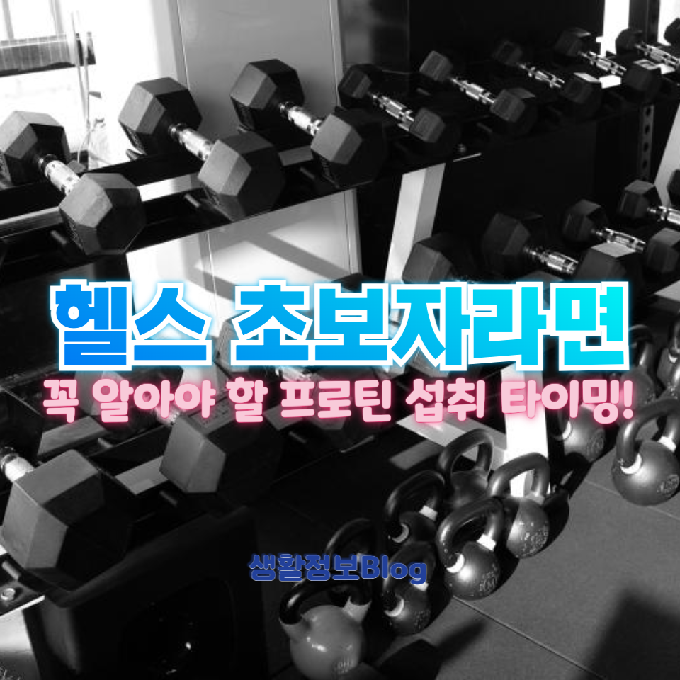 헬스 초보자라면